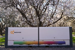 Featured Image of 2024 Almond Pollination Season