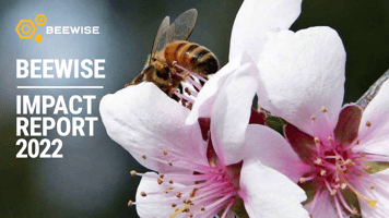 Beewise 2022 Impact Report