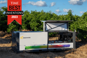 Featured Image of The BeeHome Through the Years